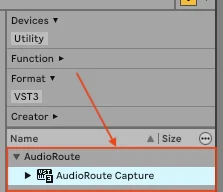 Ableton Live plugin browser showing the AudioRoute folder under VST3 expanded, with AudioRoute Capture inside