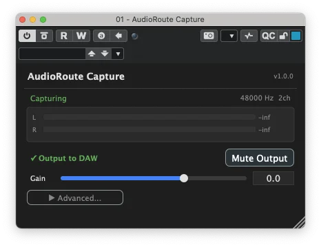 AudioRoute Capture plugin window showing 'Capturing' status, 48000 Hz 2ch, and L/R level meters.