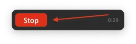 The AudioRoute floating overlay with the red Stop button highlighted by an arrow, elapsed time showing 0:29