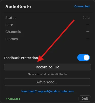 AudioRoute tray window with the 'Record to File' button highlighted by a red arrow. The window shows Status: Idle, the Feedback Protection toggle enabled, and 'Saves to ~\Music\AudioRoute' below the button